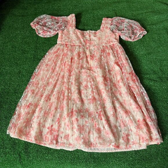 Wonder Nation Girls Apricot Metallic Mesh Puff Sleeve Zip Dress Size 12 Plus - Picture 10 of 14